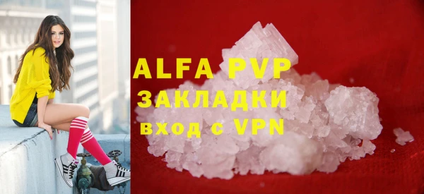 a pvp Белокуриха
